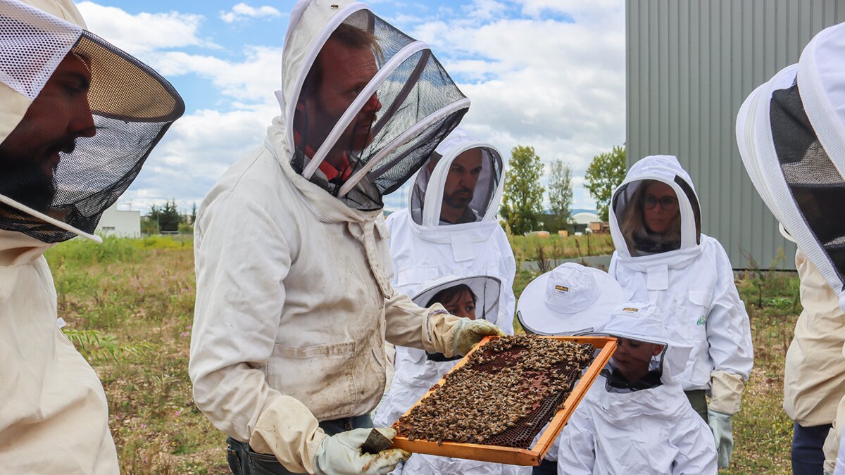 A picture of Ensto's bee production in France, with people in beesuits.