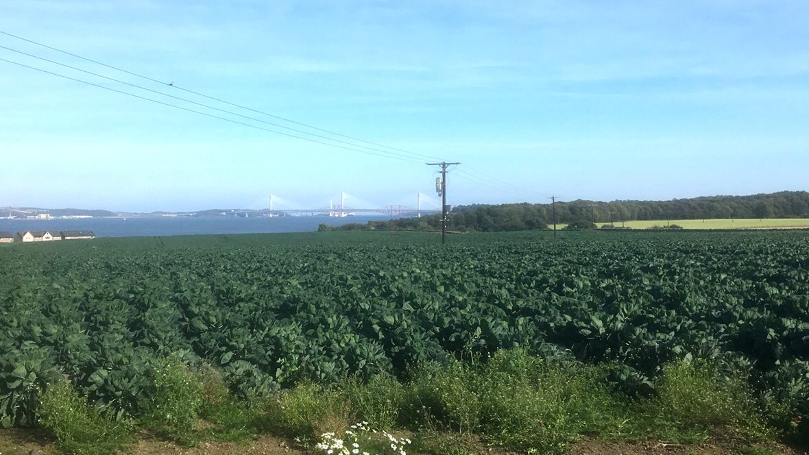 Auguste load break switch (LBS) in the UK.