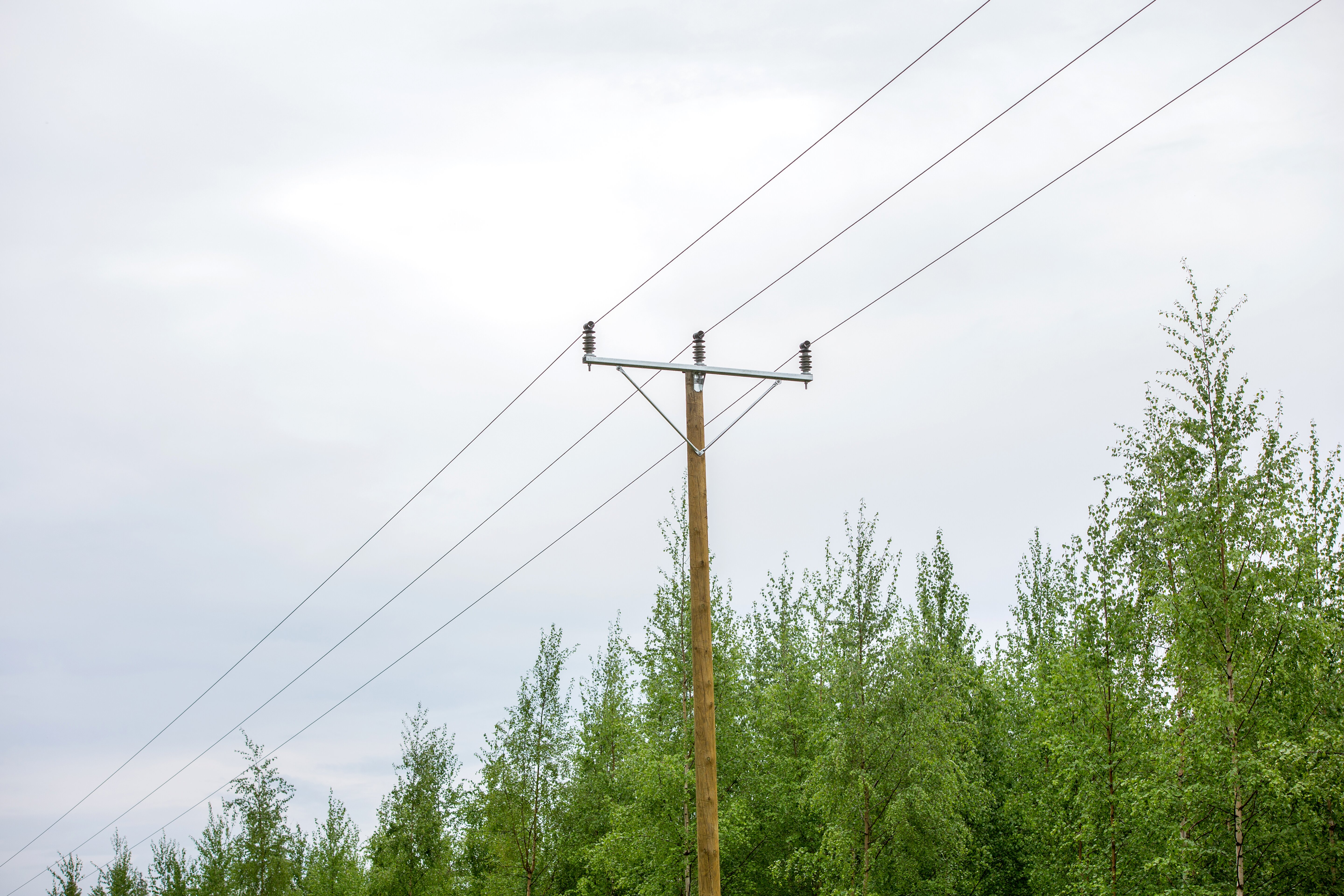 Composite-line-post-insulators-Järvi-Suomen-Energia (11).jpg