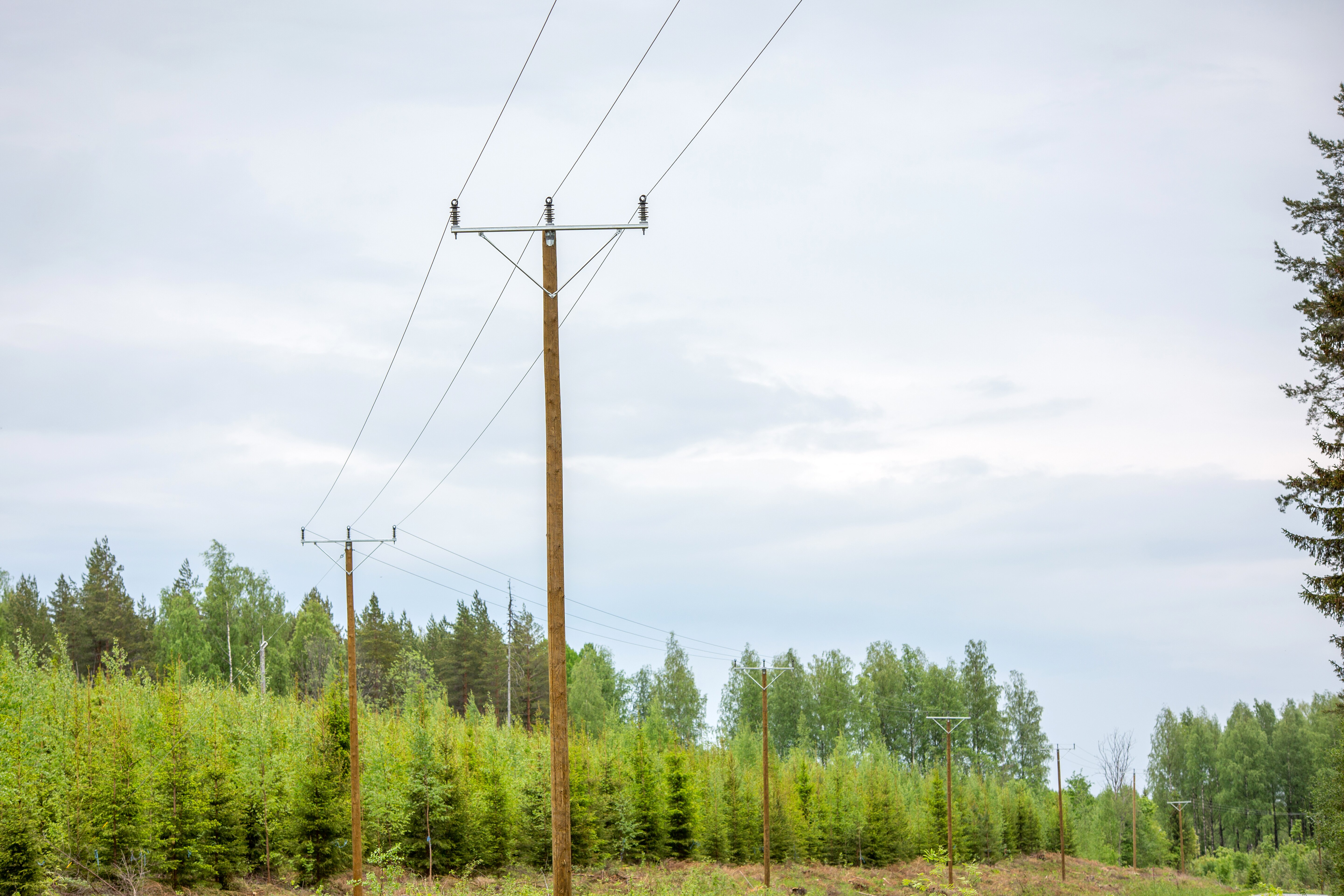 Enston komposiittitukieristin.