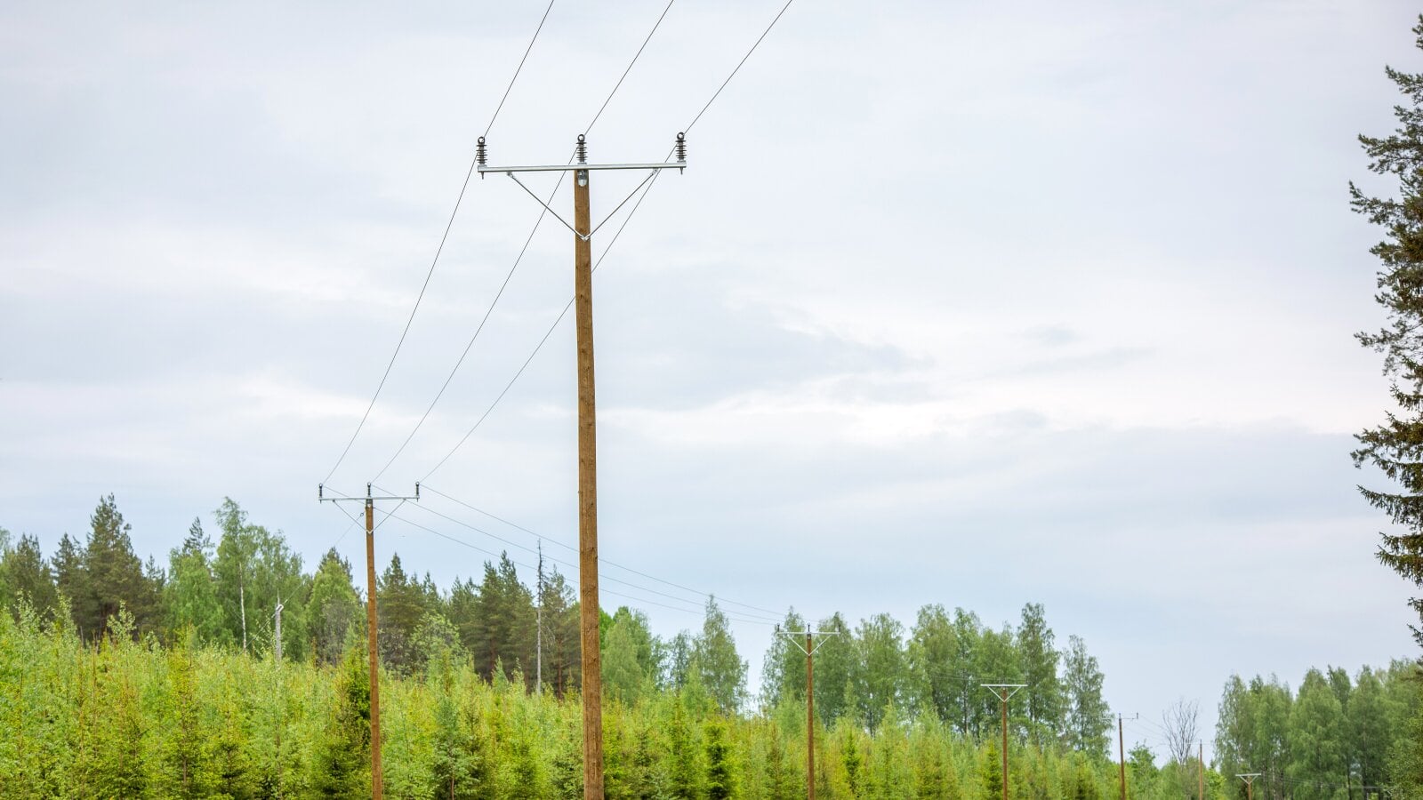Composite Line Post Insulators Introduce a New Era for Overhead Lines