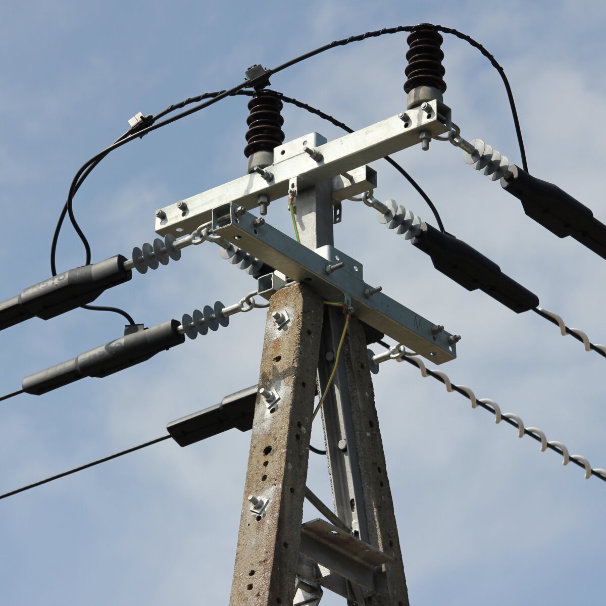 Electric Raptor Protection Improving Electrical Safety
